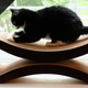 Image for article titled One of Amazon's Top-Selling Cat Toys Gets a Rare Discount Today